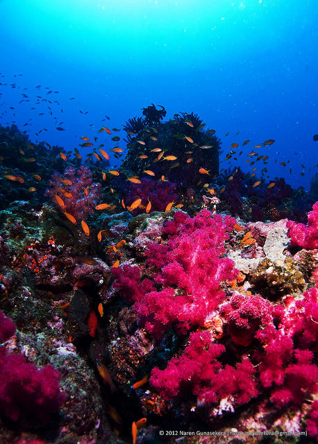 Photo of The Indian Version Of These World-Renowned Wonders Are Far More Spectacular 4/20 by Abhishek Bhan