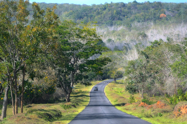 Photo of Scenic Road Trips in India That Will Kick Start Your Vacation Before Reaching the Destination 6/16 by Gunjan Upreti