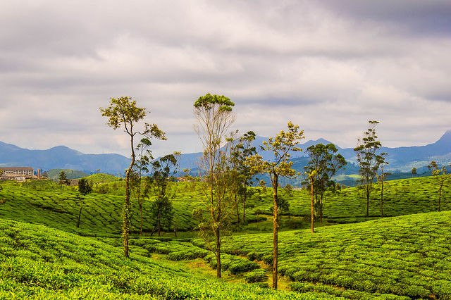 Photo of 7 Least Searched Destinations in India For The Traveler Who Has Seen it All! 9/14 by Gunjan Upreti
