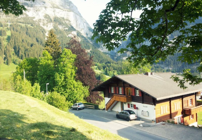 Photo of The Many Secrets Of Switzerland: Grindelwald 1/4 by Sumedha Bharpilania