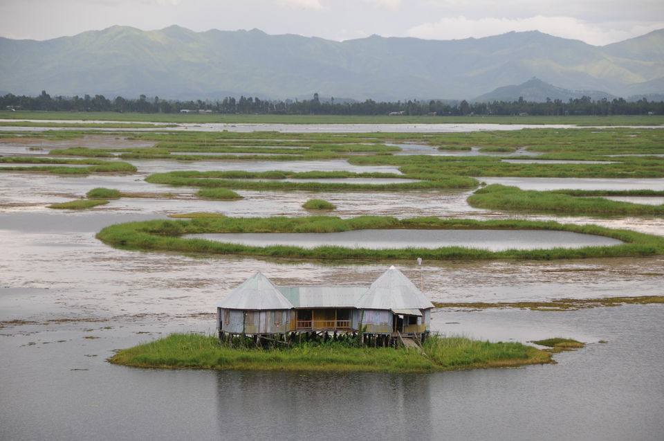 Photo of 21 Pictures That Prove North East India is The Most Instagrammable Place On Earth 8/22 by Disha Kapkoti