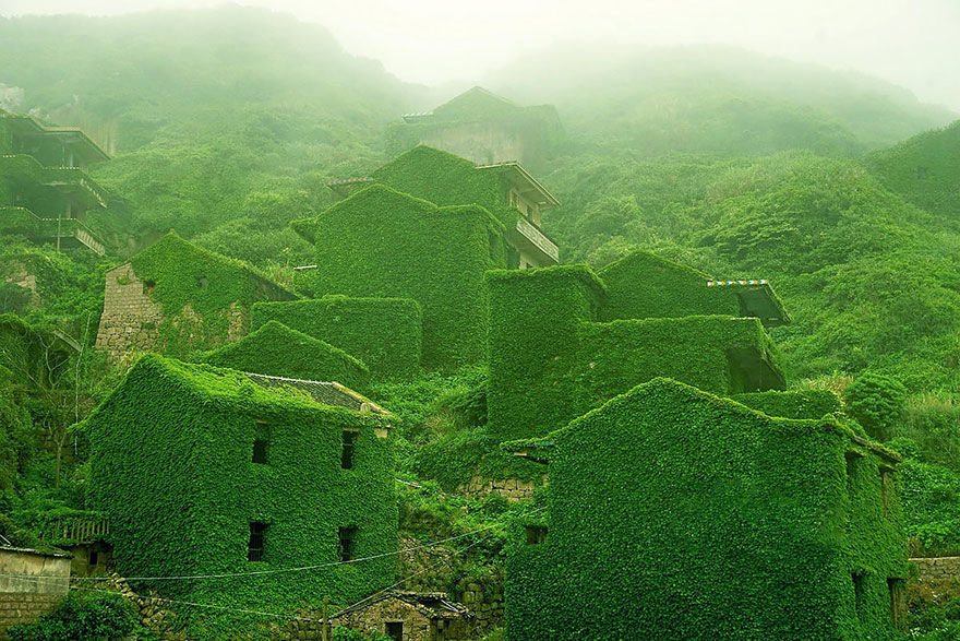 Photo of An Abandoned Chinese Fishing Village on Goqui Island Tells a Tale of Nature's Triumph 10/11 by Disha Kapkoti