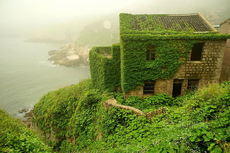 Photo of An Abandoned Chinese Fishing Village on Goqui Island Tells a Tale of Nature's Triumph 1/11 by Disha Kapkoti