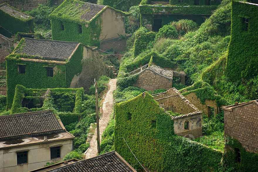 Photo of An Abandoned Chinese Fishing Village on Goqui Island Tells a Tale of Nature's Triumph 8/11 by Disha Kapkoti