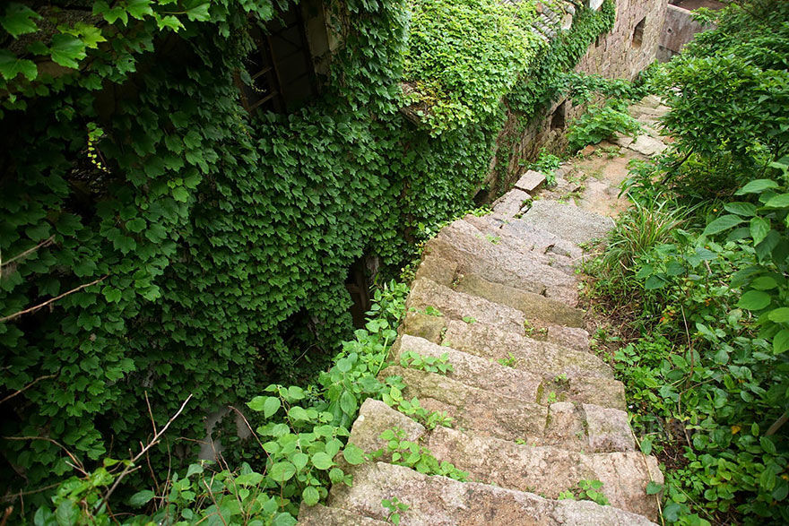 Photo of An Abandoned Chinese Fishing Village on Goqui Island Tells a Tale of Nature's Triumph 2/11 by Disha Kapkoti