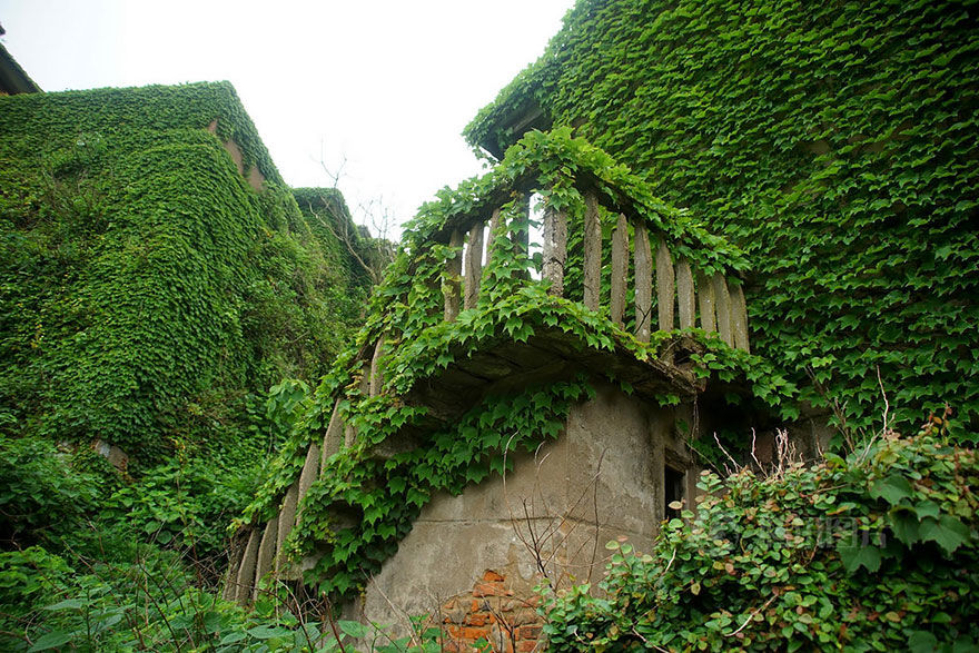 Photo of An Abandoned Chinese Fishing Village on Goqui Island Tells a Tale of Nature's Triumph 4/11 by Disha Kapkoti