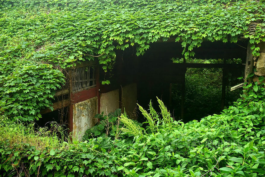 Photo of An Abandoned Chinese Fishing Village on Goqui Island Tells a Tale of Nature's Triumph 7/11 by Disha Kapkoti