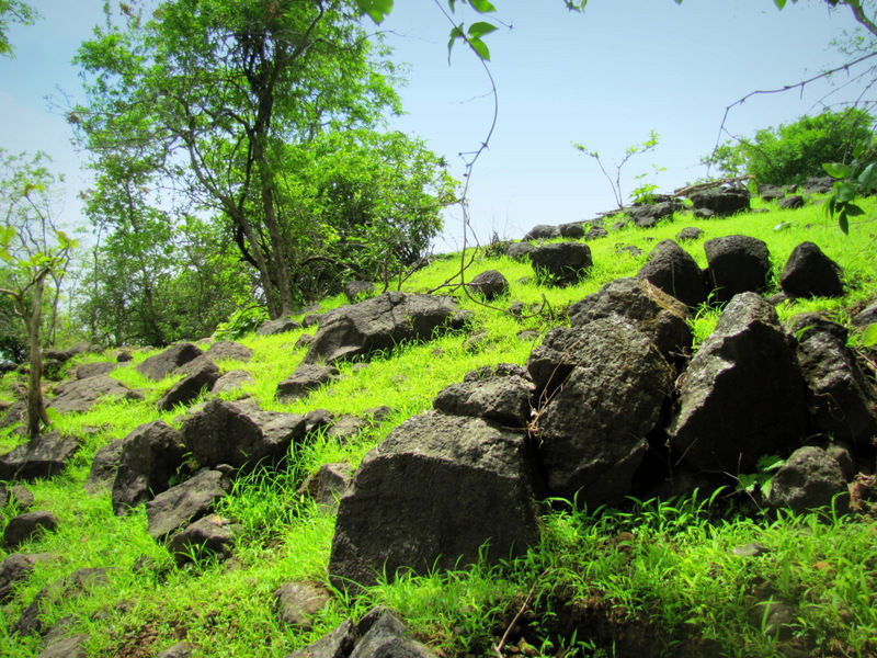 Photo of 7 Treks in the Sahyadris to Awaken Your Soul 19/24 by Sarah