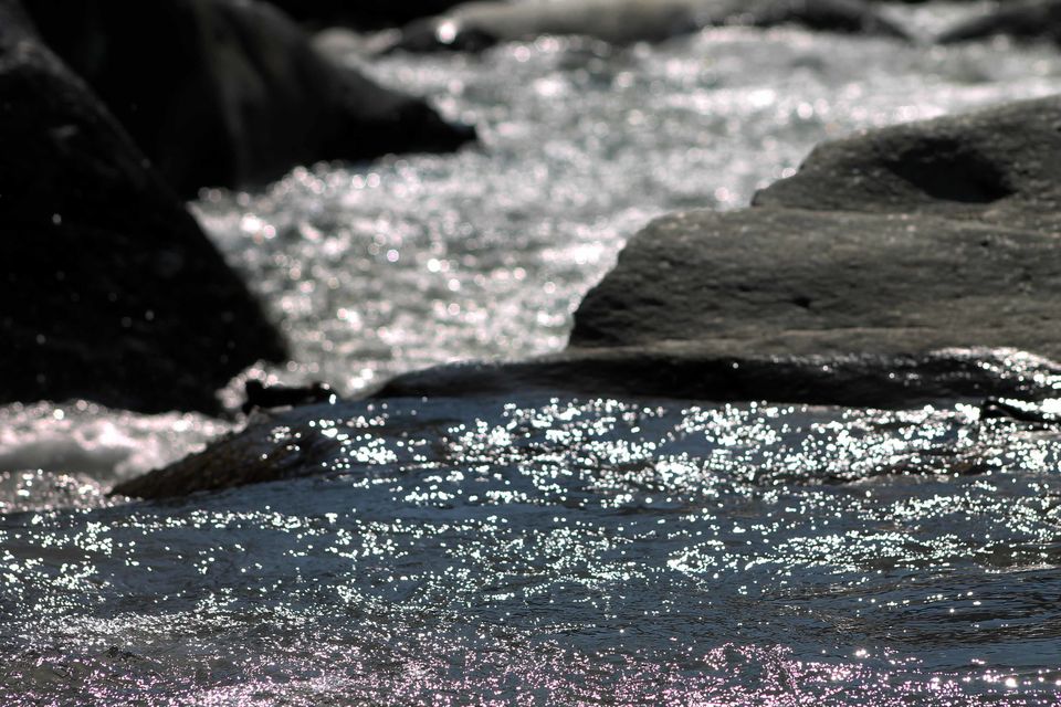 Photo of Life-changing Trip From Kasol To Malana Village - A Story That Needs To Be Told 5/14 by Shayaan Ahmad Noori