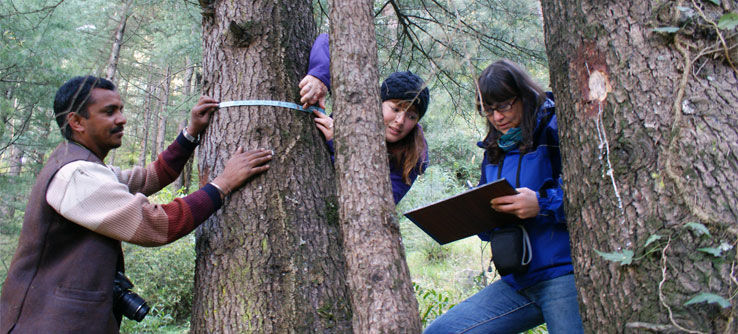 Photo of Broke On The Road? Here's How You Can Make Money While Traveling 8/11 by Disha Kapkoti