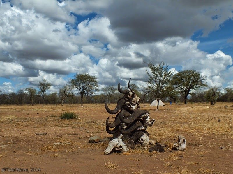 Photo of Camping Under African Skies 15/32 by Jyotinath Ganguly