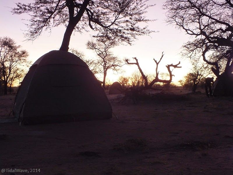 Photo of Camping Under African Skies 21/32 by Jyotinath Ganguly
