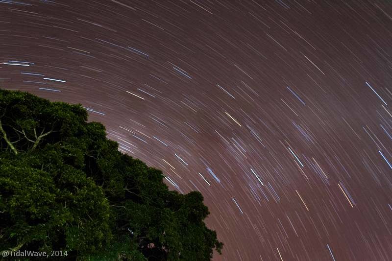 Photo of Camping Under African Skies 28/32 by Jyotinath Ganguly