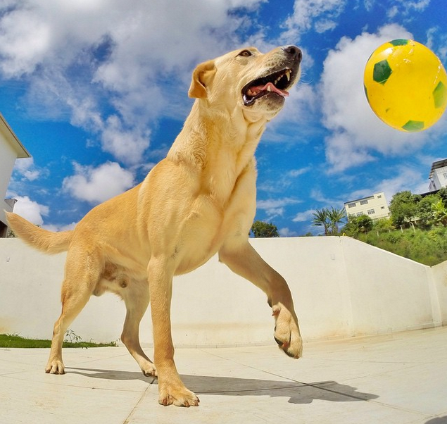Photo of This couple is taking romance to dangerous heights 5/8 by Sreshti Verma