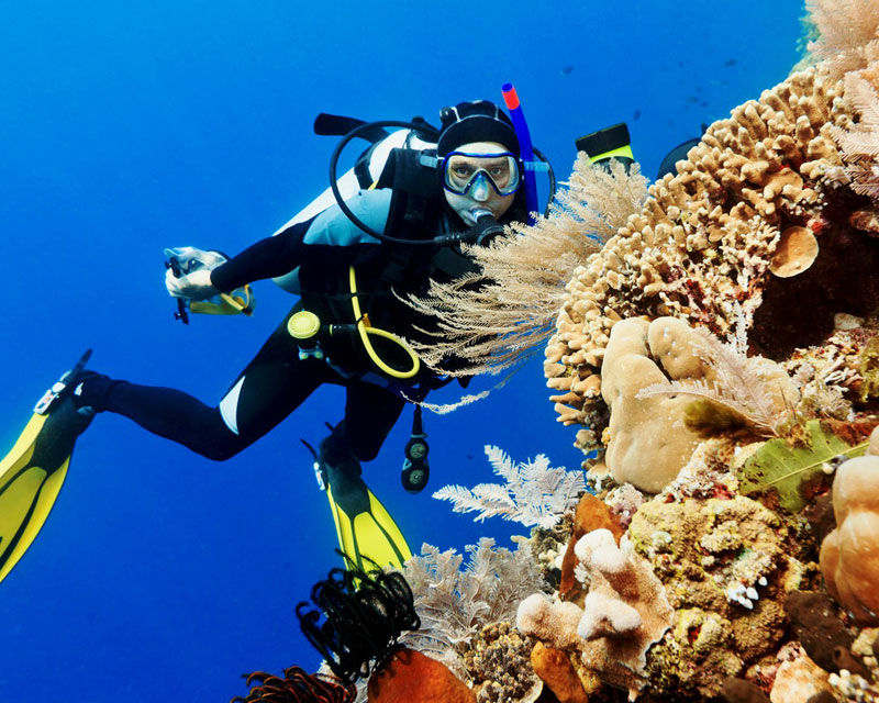 Photo of 10 Fun Things to Do In Indonesia 2/11 by Arland