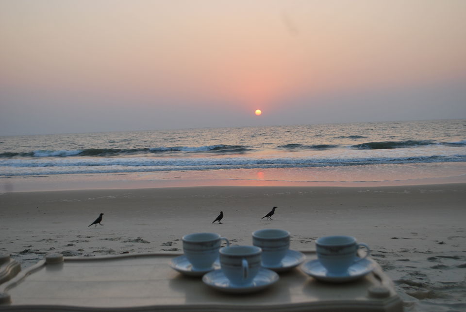 Photo of Dawn to Dusk : Kashmir to Kollam : Hills to Oceans 7/16 by Munish