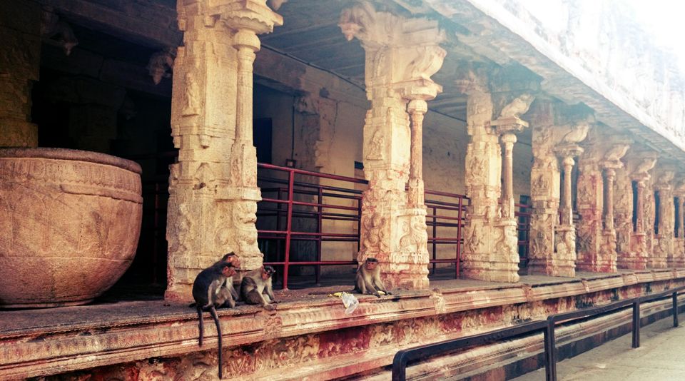 Photo of Lost My Soul in Hampi 7/9 by shinto143