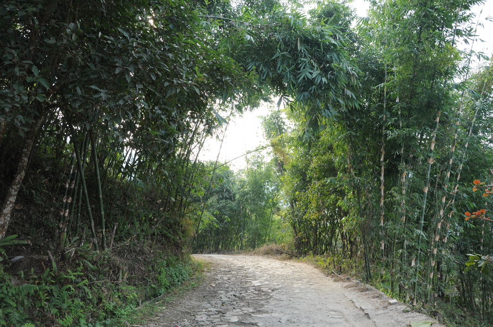 Photo of Hidden treasures of North Bengal 9/11 by Manikuntala Das
