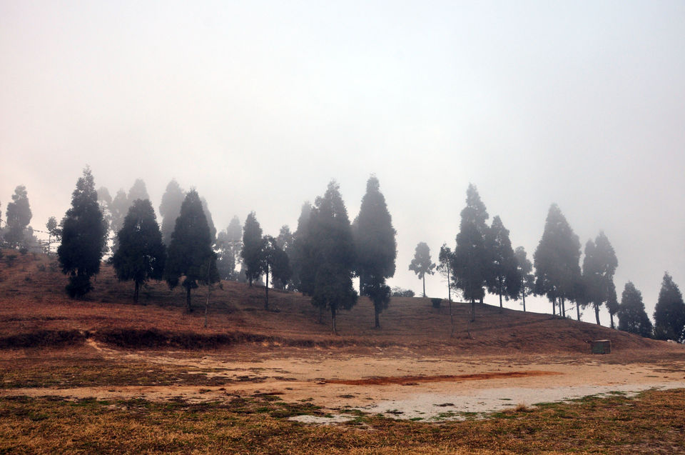 Photo of Hidden treasures of North Bengal 10/11 by Manikuntala Das