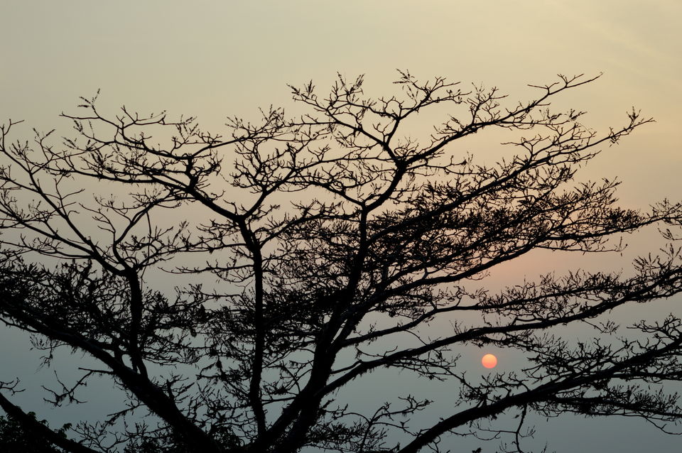 Photo of Dawn to Dusk : Kashmir to Kollam : Hills to Oceans 14/16 by Munish