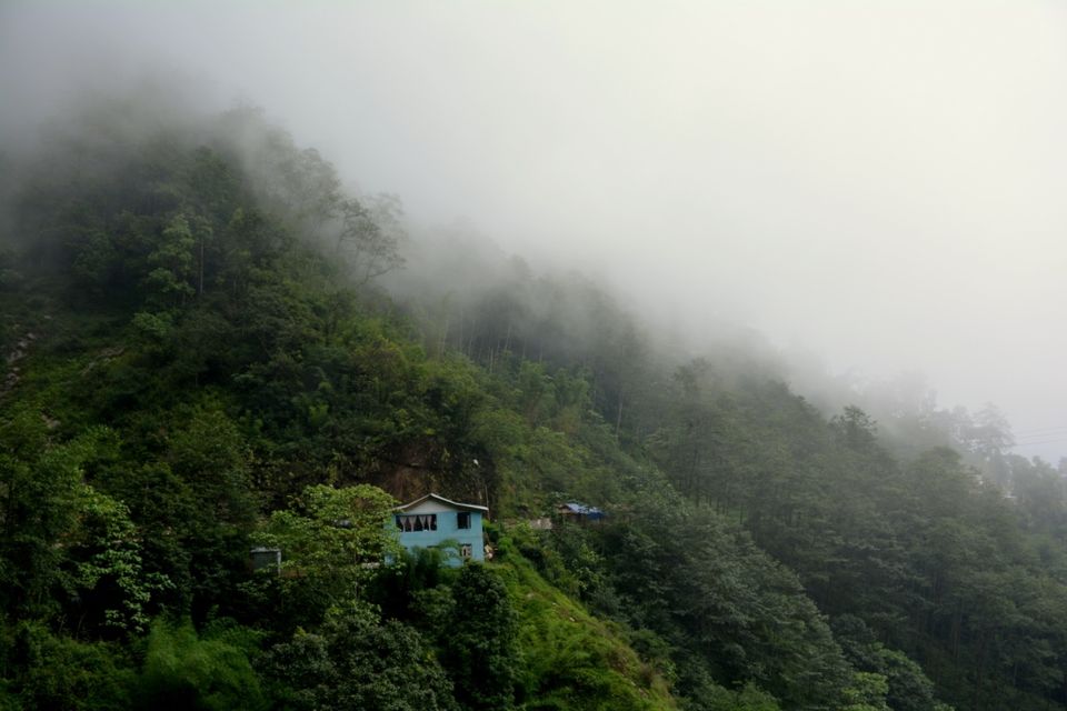 Photo of Way to Pelling - An Escape to the hills 12/12 by anila
