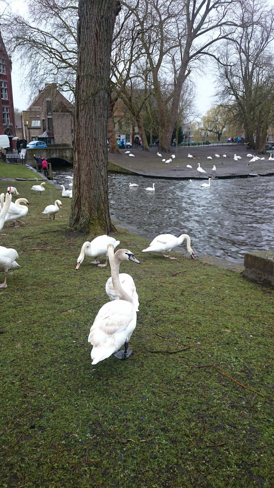 Photo of Brussels and Bruges 9/10 by Nishtha Narang