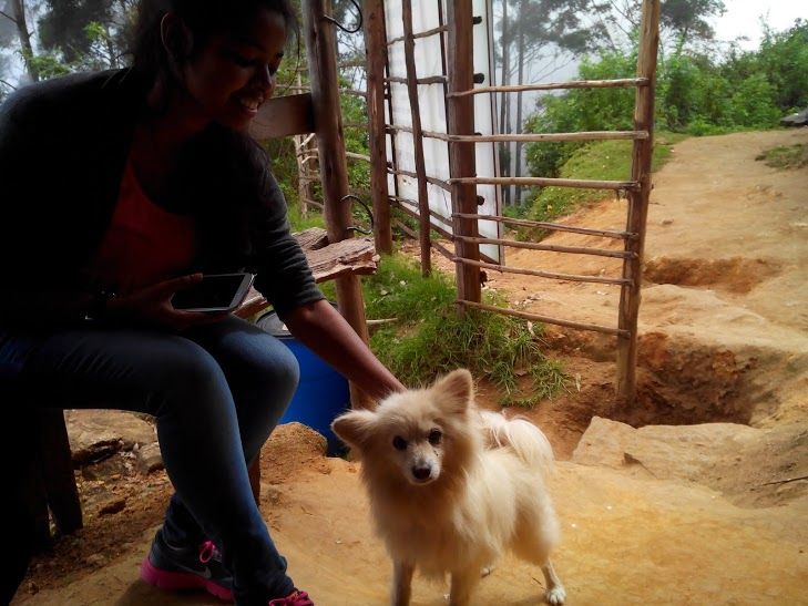 Photo of A weekend getaway - Kodaikanal 6/45 by Monali Monalisa