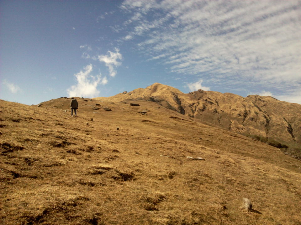 Photo of Munsiyari: The hidden jewel of the Himalayas 13/14 by Abhay Kapkoti