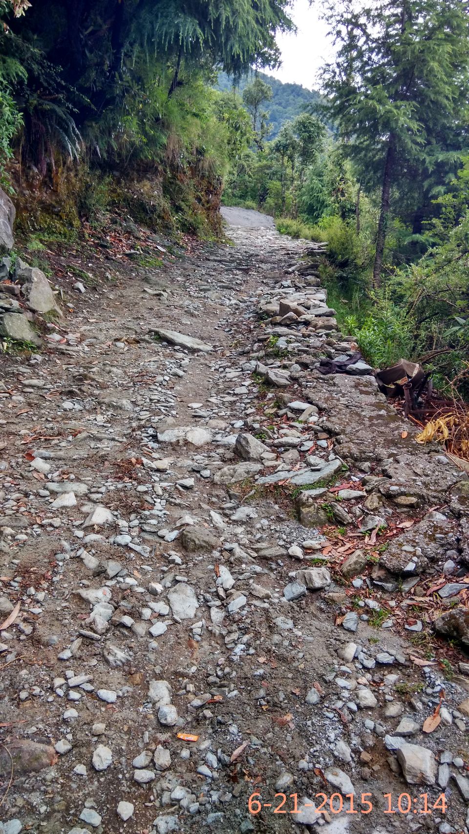 Photo of Trek to Triund: My story and a complete guide 28/36 by Yashasvi Girdhar