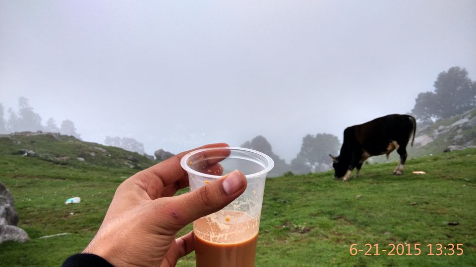 Photo of Trek to Triund: My story and a complete guide 35/36 by Yashasvi Girdhar