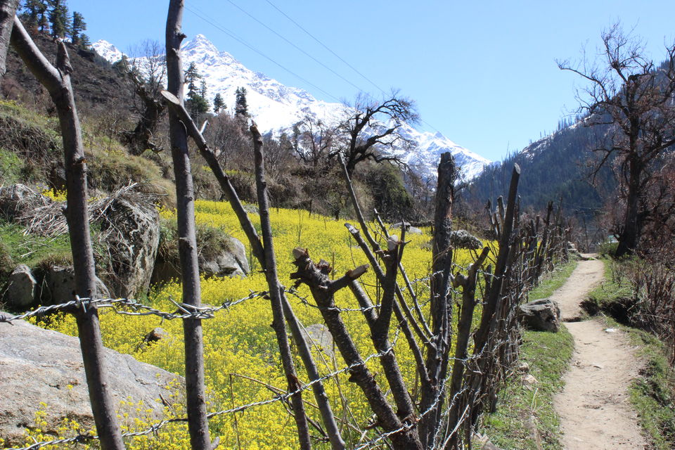 Photo of Kheerganga Trek: A Journey To Wash Your Spirit Clean 24/29 by Disha Kapkoti