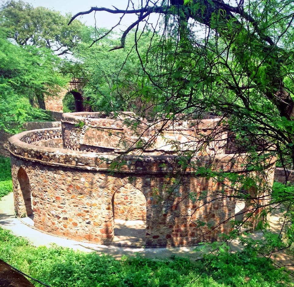 Photo of The Old and Forgotten: Mehrauli Archeological Park 4/7 by Bhawna Sati