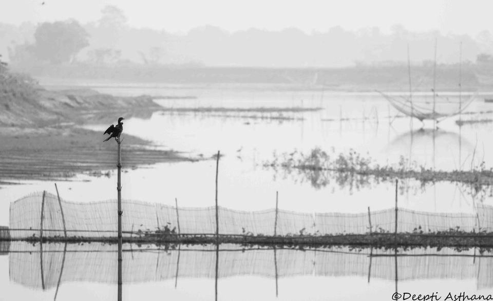 Photo of Honey pack your bags, we are going to Majuli! 4/6 by Deepti Asthana