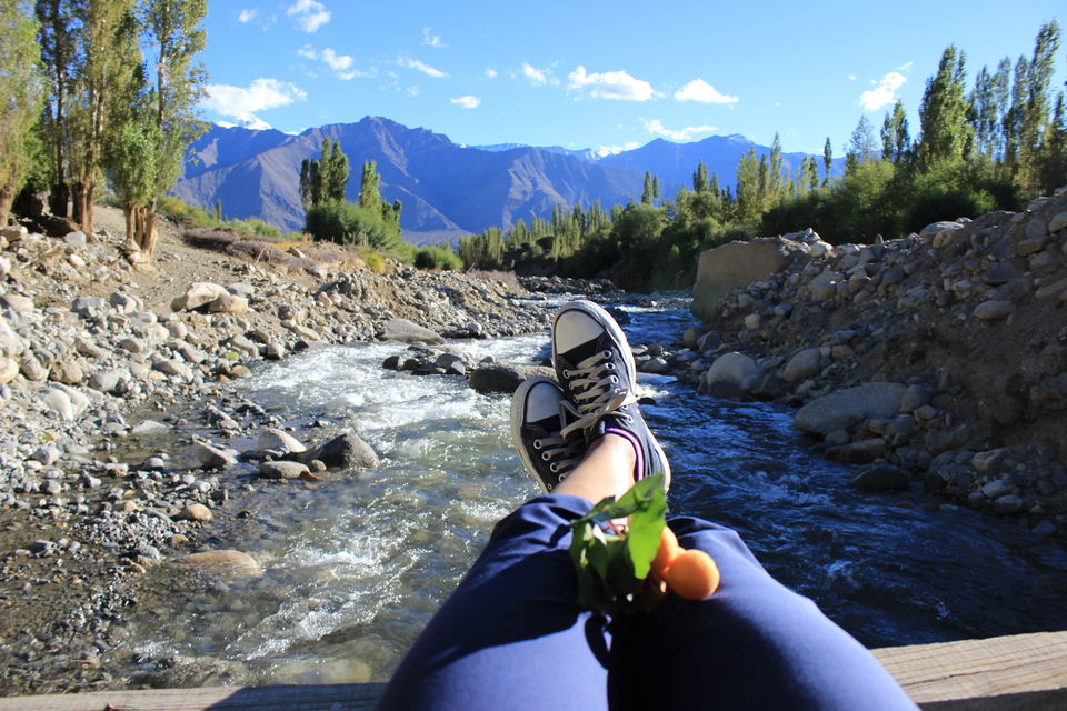 Photo of Little Joys of Travelling 8/9 by Pritha Puri