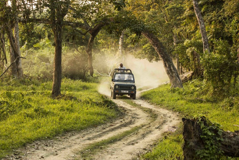 Photo of Chasing the wild in Kaziranga 9/9 by Deepti Asthana