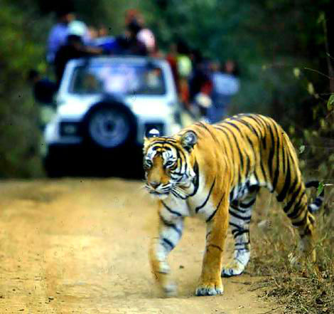 Photo of Traveling to the World of Wildlife Trails and Natural Lakes in Middle of summers 7/8 by Kanika Saxena