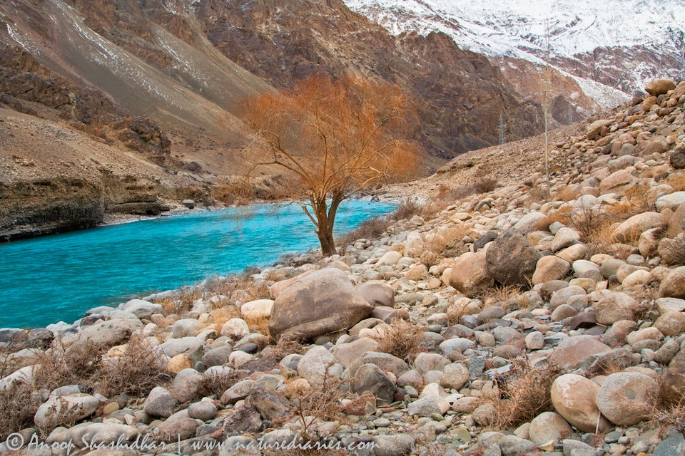 Photo of Best Photography In India That Will Make You Rethink Your Impression of the Country 7/14 by Gunjan Upreti