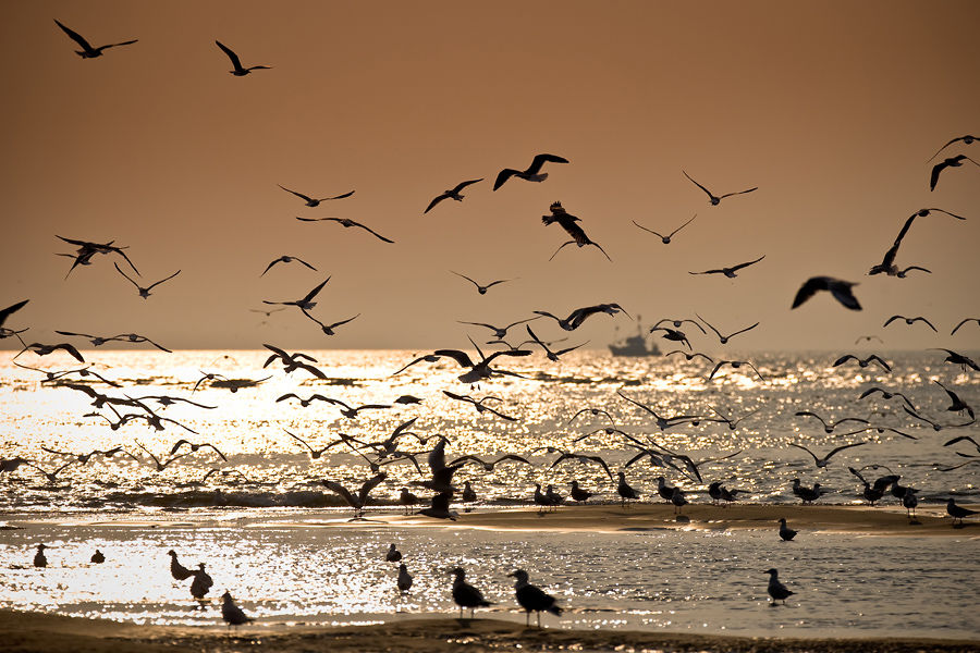 Photo of The Best Destinations in India That Will Put These Hollywood Locations To Shame 19/19 by Disha Kapkoti