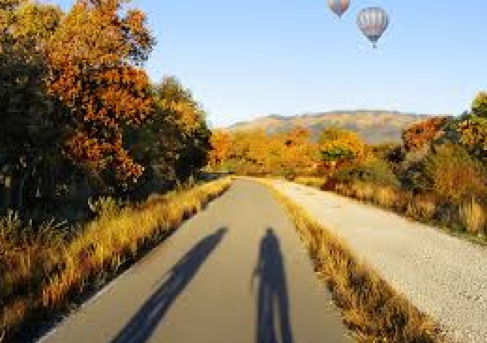 Photo of Five Fabulous Biking Trails 5/5 by Sharron Calvin