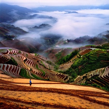 Photo of 9 Best Hill Stations In India That Beat Any Exotic Summer Destination Abroad 6/9 by Gunjan Upreti