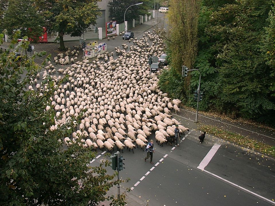 Photo of 10 Amusing Facts About Countries You Probably Haven't Heard Of 2/11 by Sreshti Verma