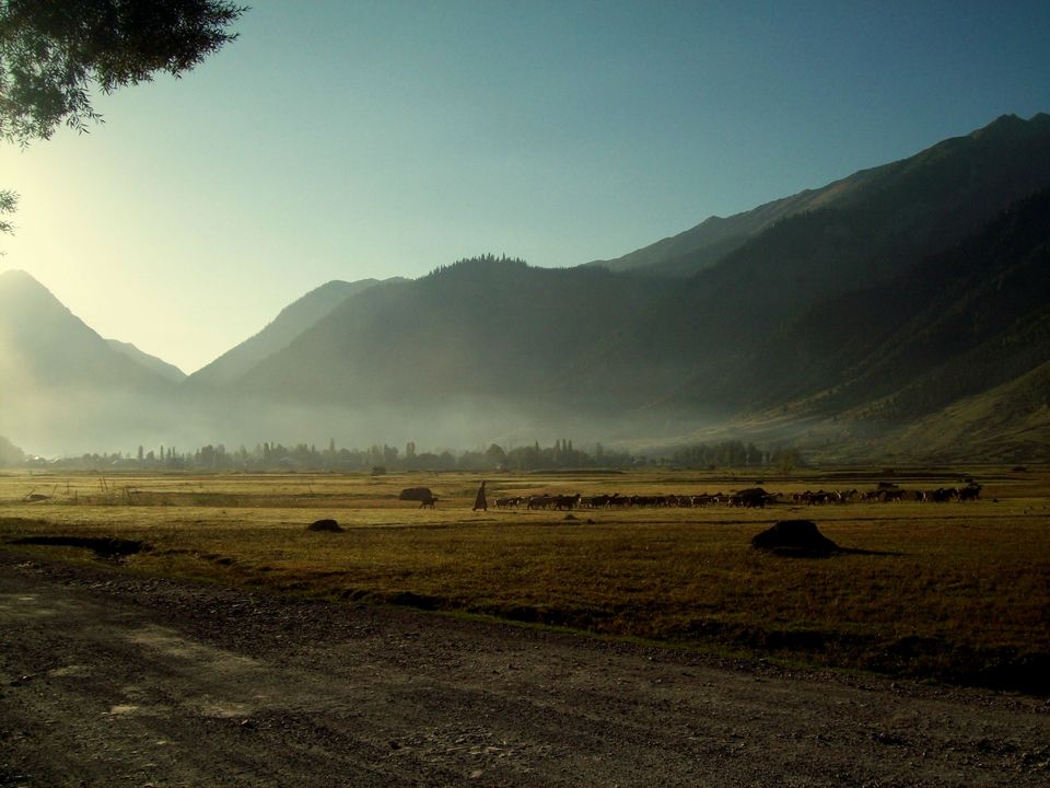 Photo of Dawn to Dusk : Kashmir to Kollam : Hills to Oceans 15/16 by Munish