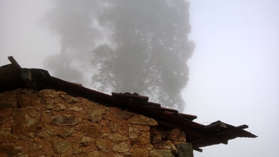 Photo of A weekend getaway - Kodaikanal 7/45 by Monali Monalisa