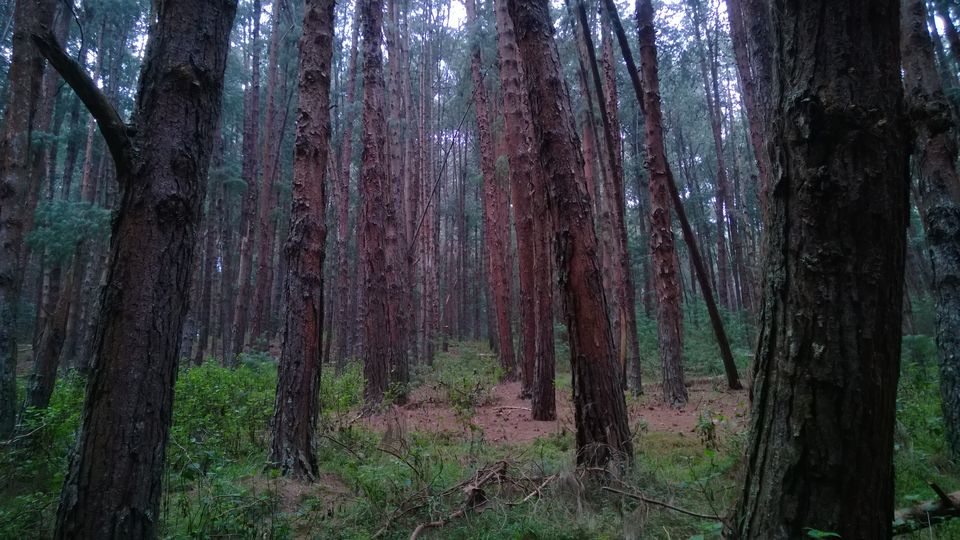 Photo of A weekend getaway - Kodaikanal 13/45 by Monali Monalisa