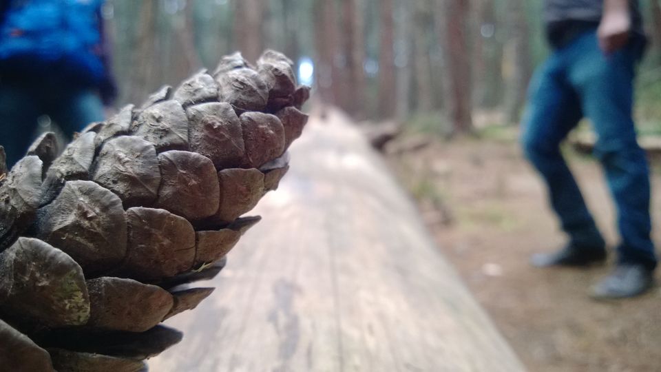 Photo of A weekend getaway - Kodaikanal 14/45 by Monali Monalisa