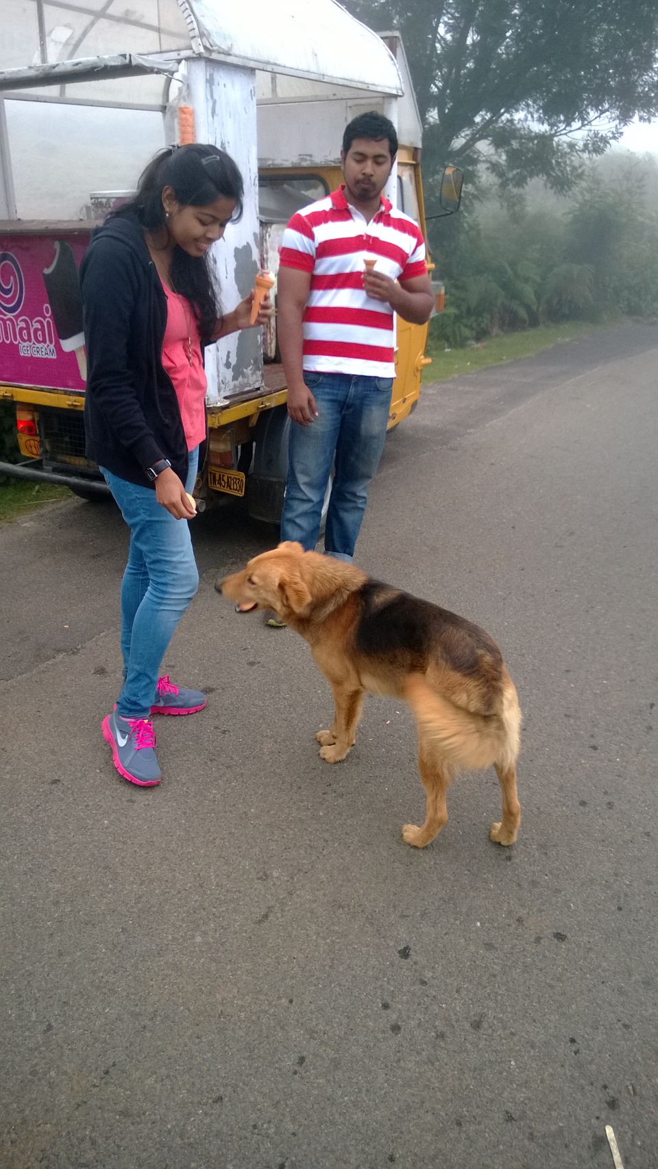 Photo of A weekend getaway - Kodaikanal 16/45 by Monali Monalisa