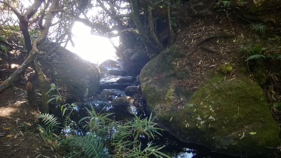 Photo of A weekend getaway - Kodaikanal 27/45 by Monali Monalisa