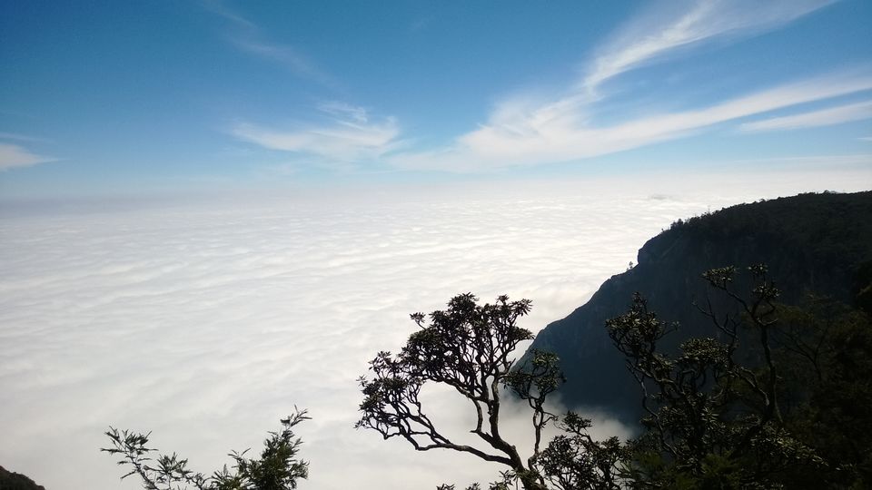 Photo of A weekend getaway - Kodaikanal 32/45 by Monali Monalisa