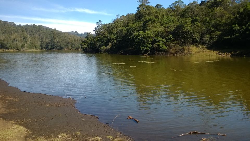 Photo of A weekend getaway - Kodaikanal 33/45 by Monali Monalisa