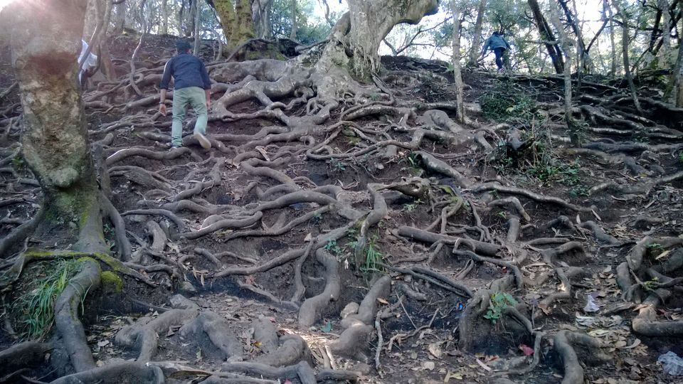 Photo of A weekend getaway - Kodaikanal 36/45 by Monali Monalisa